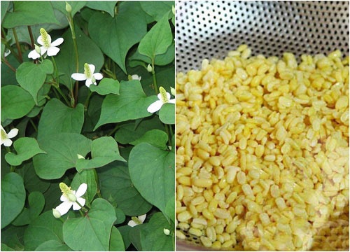 uong-nuoc-diep-ca-giam-can