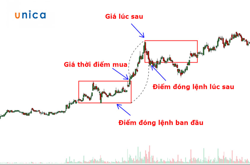 Các bước giao dịch của lý thuyết hộp Darvas