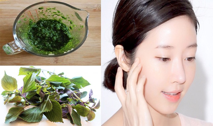 Rửa mặt bằng lá tía tô tươi giúp da trắng hồng