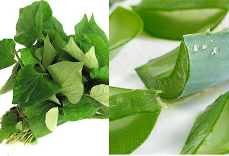 Mặt nạ nha đam diếp cá cung cấp độ ẩm cho làn da khô