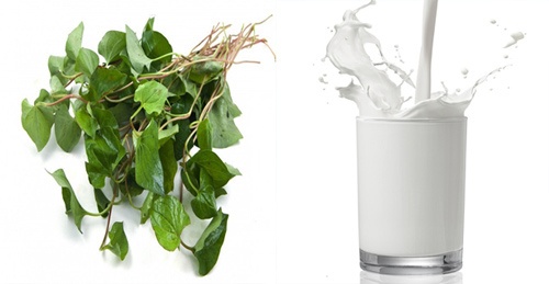 Hỗn hợp này giúp cải thiện làn da thêm mịn màng