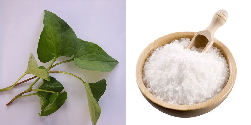 Diếp cá kết hợp với muối