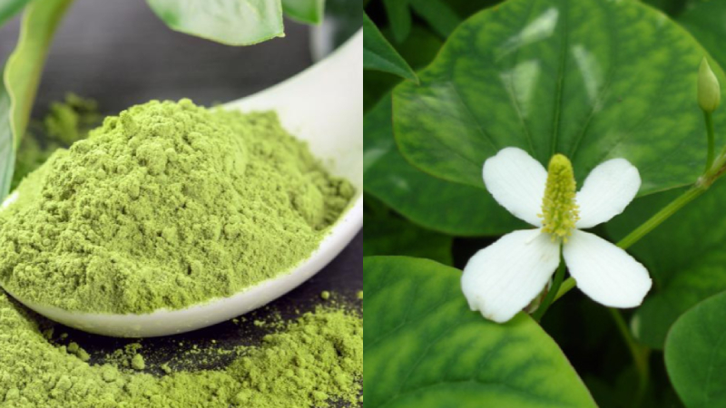 Mặt nạ trà xanh rau diếp cá