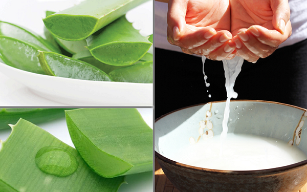 Hỗn hợp này giúp da trắng mịn, căng tràn sức sống