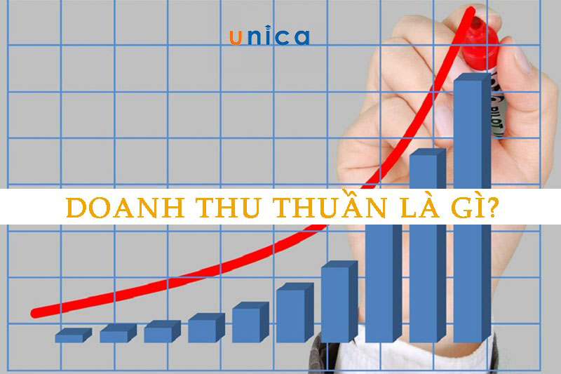 Doanh thu thuần là gì? Các yếu tố ảnh hưởng doanh thu thuần