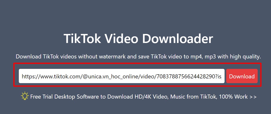 tiktokdownloader