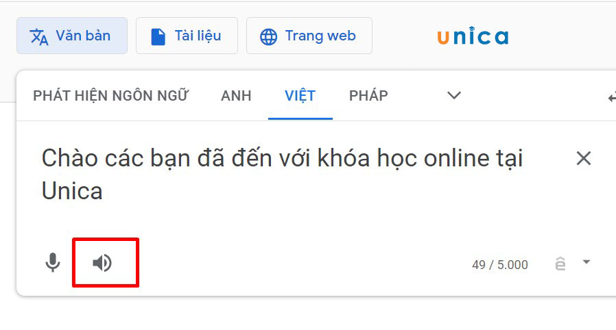 dien-noi-dung-vao-google-dich