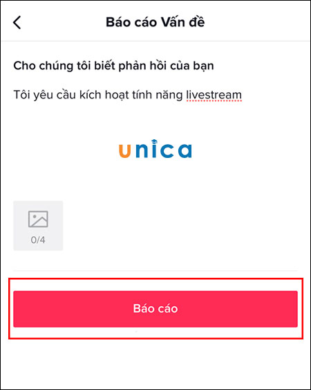 Báo cáo các vấn đề