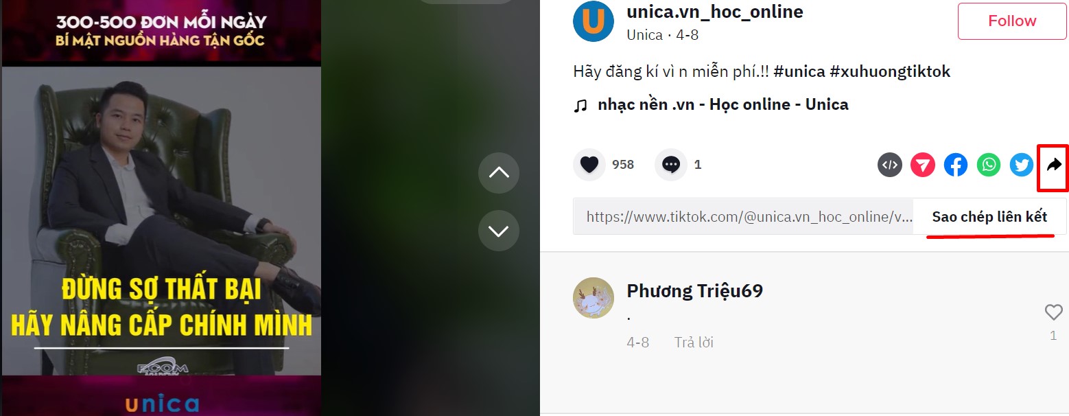 Sao chép liên kết video