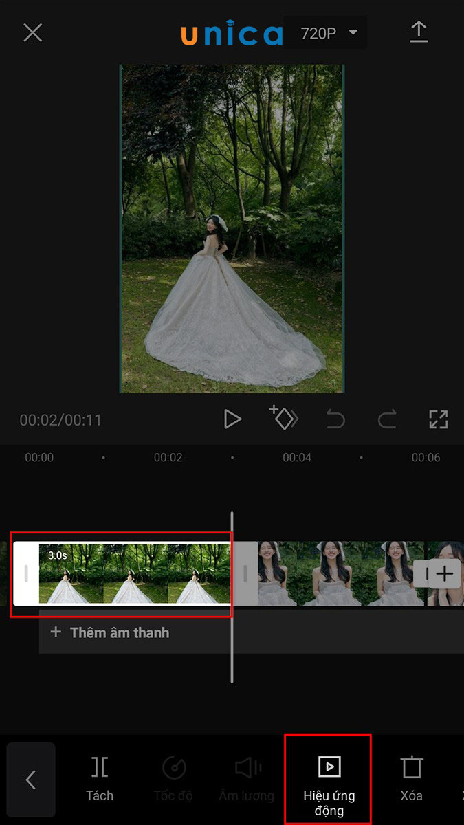 Hiệu ứng động