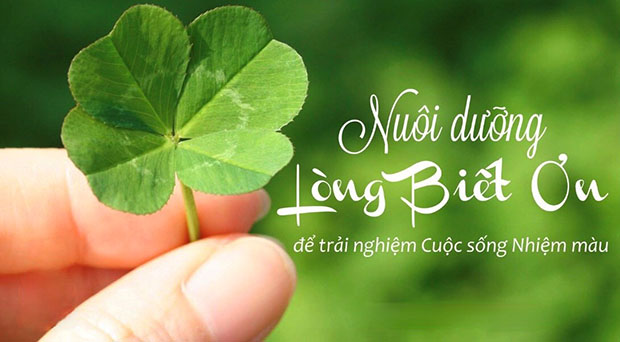 Thực hành lòng biết ơn