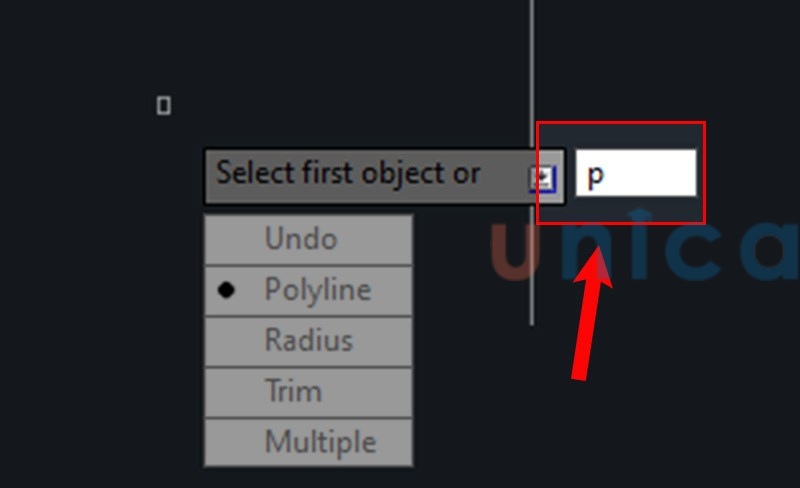 Gõ phím P để chọn tham số Polyline