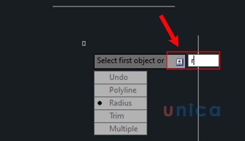 Gõ phím R để chọn tham số Radian
