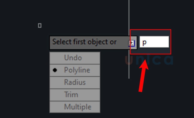 Gõ phím P để chọn tham số Polyline