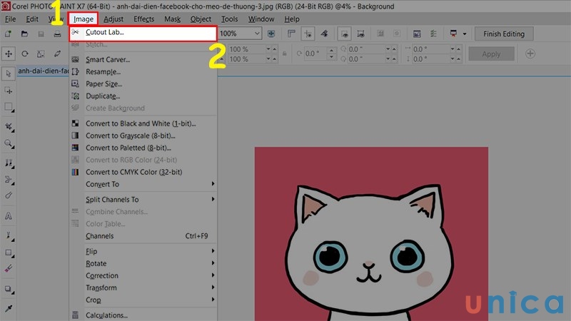 Chọn thẻ Image và chọn Cutout Lab
