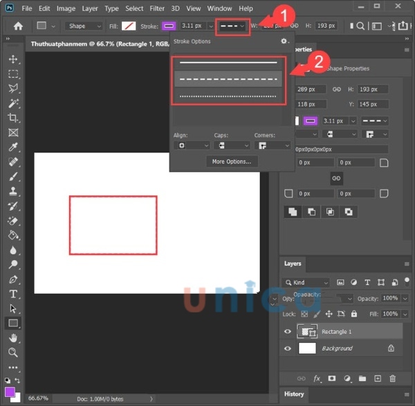 Tùy chọn dạng nét đứt hay nét thẳng