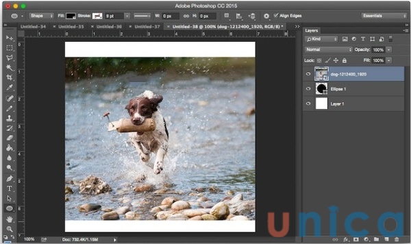Giữ phím Shift để giữ nguyên tỉ lệ khung hình và phóng to hình ảnh