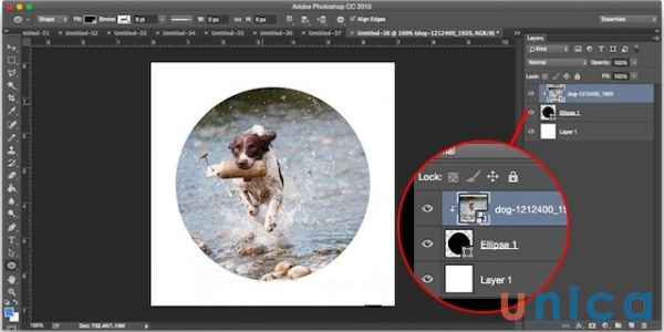 Sau khi crop xong, bạn nhấn chọn Ok để lưu ảnh