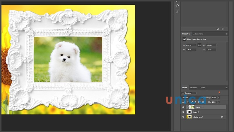 Cach-su-dung-Clipping-Mask-bang-Magic-Wand-Tool-7
