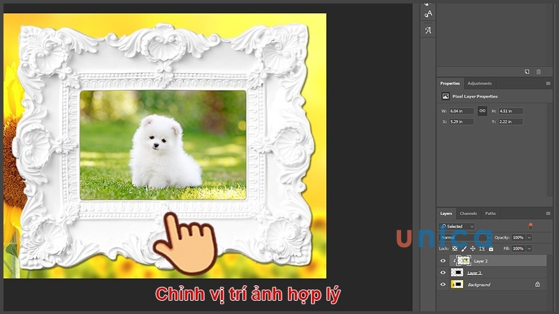 Cach-su-dung-Clipping-Mask-bang-Magic-Wand-Tool-9