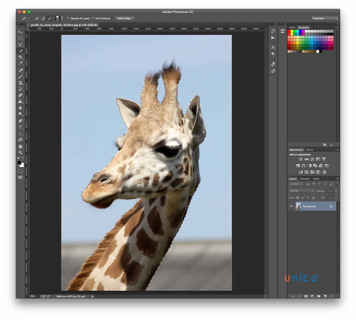 Tách đối tượng con hươu ra khỏi nền bằng photoshop