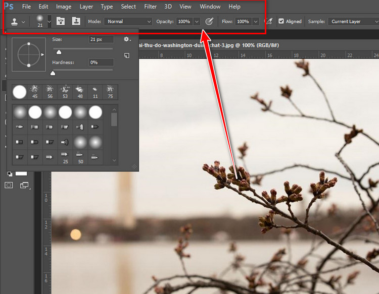 Clone Stamp Tool cho phép xóa bỏ các đối tượng không mong muốn, vá các lỗ hổng, tạo ra các bản sao của các đối tượng,…