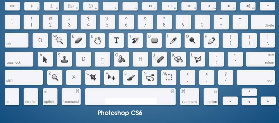 Tắt VIEW trong pts