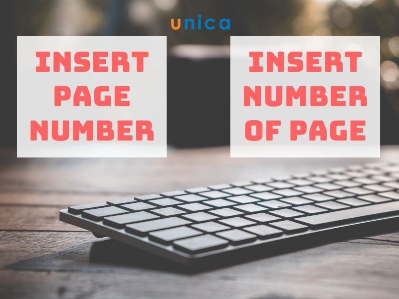 phan-biet-insert-page-va-insert-number