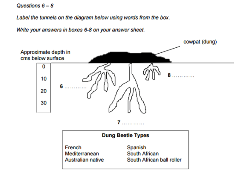 Completing diagrams – Hoàn thành biểu đồ