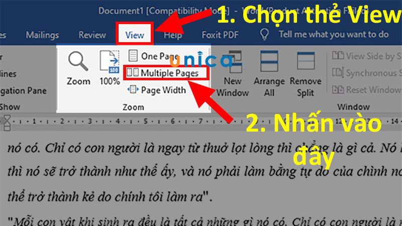 Chọn multiple pages trong thẻ View