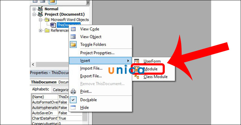 Chọn Insert rồi chọn Module