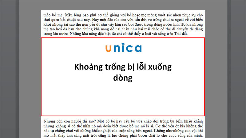 Cách sửa lỗi cách dòng trong Word nhanh và chi tiết