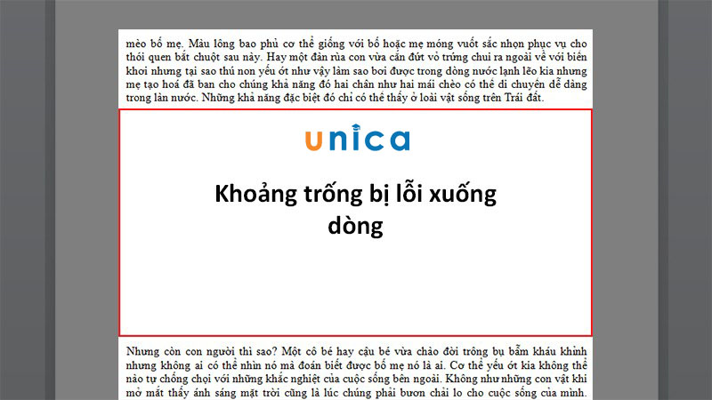 Cách sửa lỗi cách dòng trong Word cực nhanh chóng