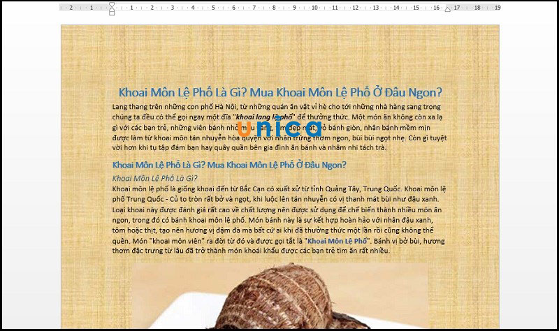 chen-hinh-anh-lam-nen-trong-word-5