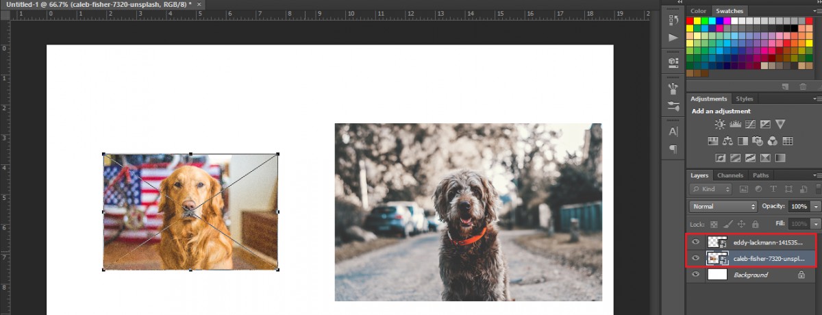 Image Layer