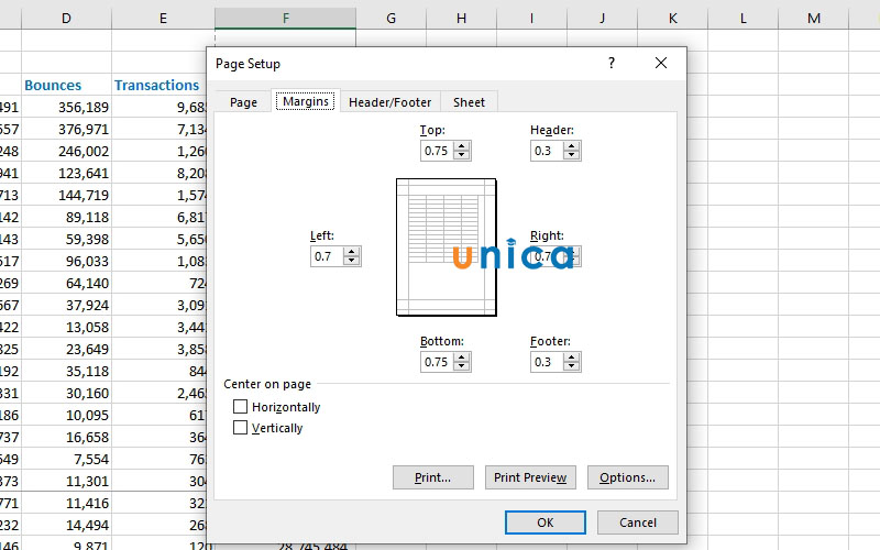 cach-chinh-trang-in-trong-excel-3
