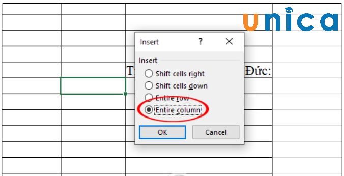 Them-cot-trong-Excel