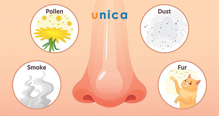 nhung-nguyen-nhan-gay-ngua-mui