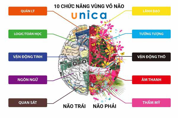 cach-tap-trung-hoc-tot