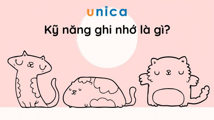 Học vào thời gian hợp lý