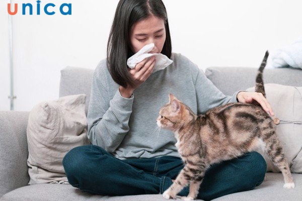 Hắt hơi theo giờ liên tục không kiểm soát báo hiệu điều gì