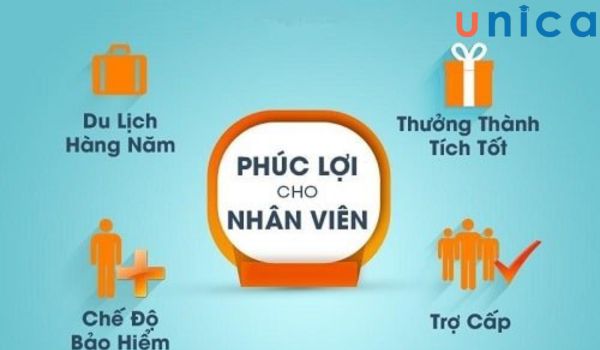 Chế độ phúc lợi xã hội tại các công ty lớn được hoàn thiện đầy đủ