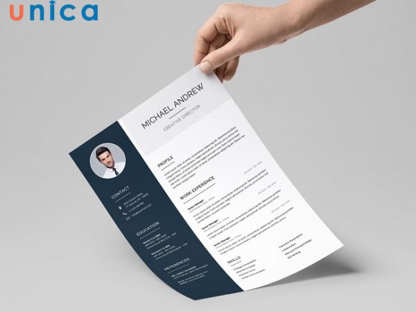 Hầu như các mẫu CV dành cho các công việc ở nước ngoài không có nhiều sự khác biệt so với mẫu CV thông thường