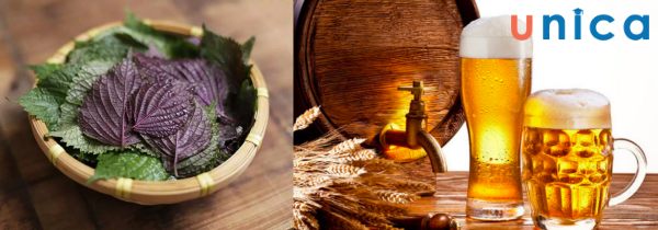 Mặt nạ tía tô và bia cho làn da trắng sáng