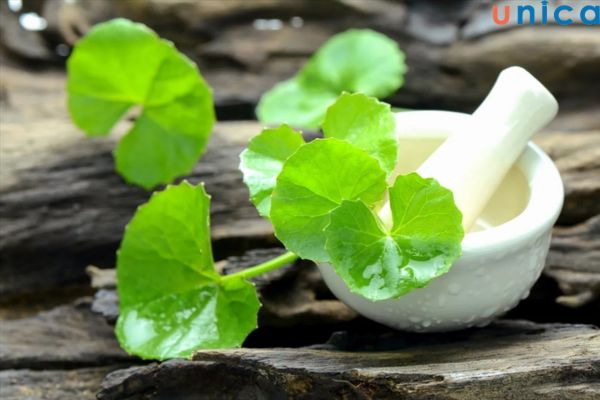 Tác dụng tuyệt vời của rau má với da mặt