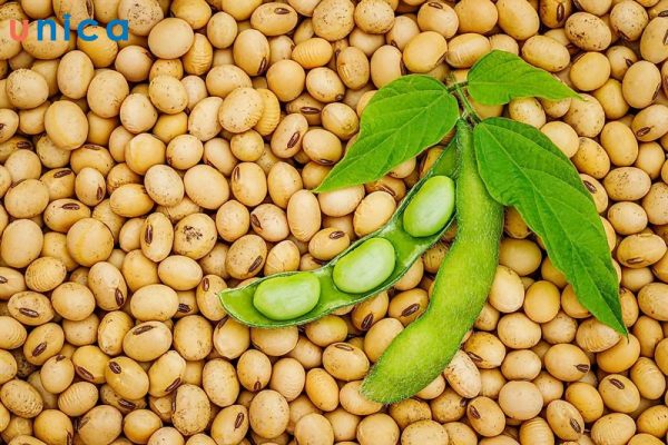 Đậu nành là thực phẩm tốt cho da mặt