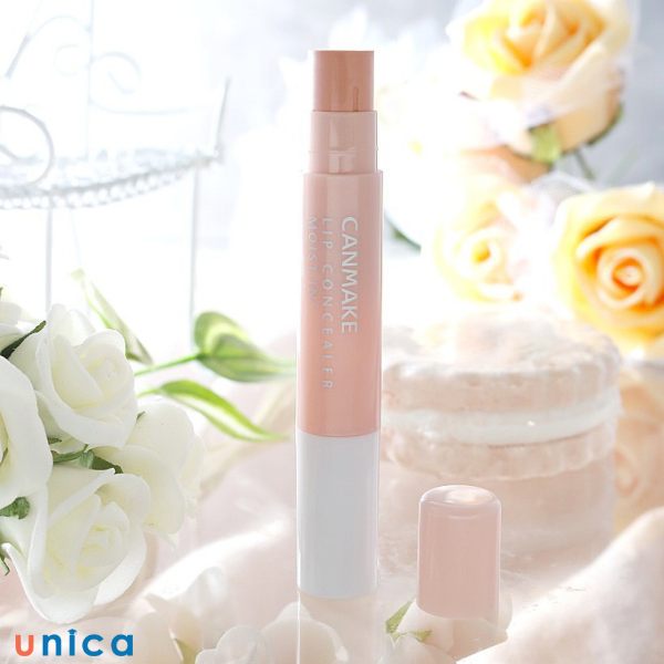 Canmake-Lip-Concealer-Moist-In.jpg