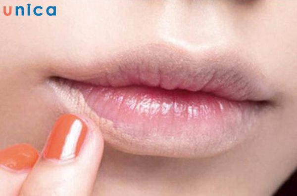 Chọn son môi có thành phần tự nhiên