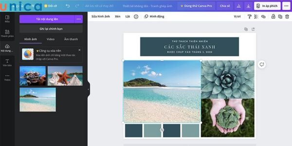 Căn chỉnh hình ảnh trên khung ghép ảnh Canva