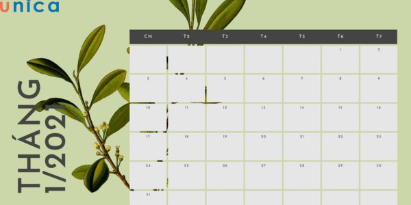 Thiết kế lịch bằng Canva cần phải đảm bảo tính cân đối